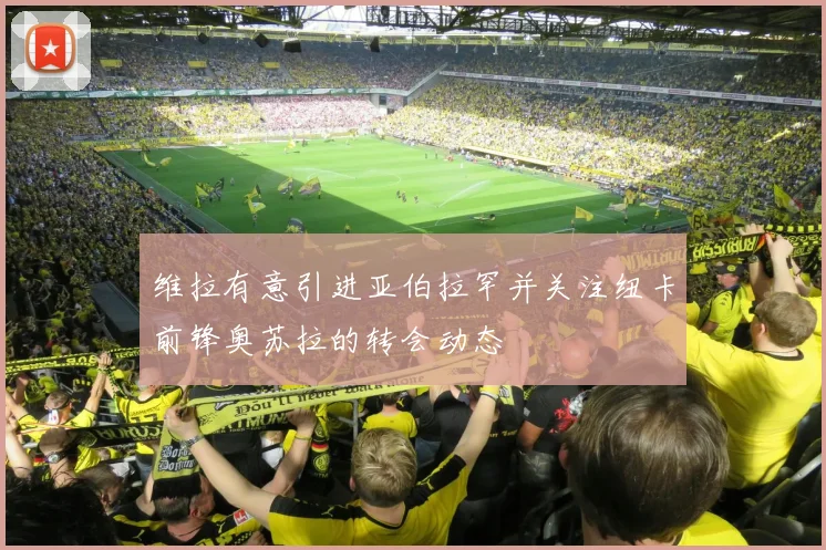 维拉有意引进亚伯拉罕并关注纽卡前锋奥苏拉的转会动态