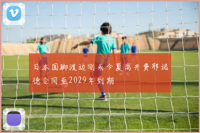 日本国脚渡边刚或今夏离开费耶诺德合同至2029年到期