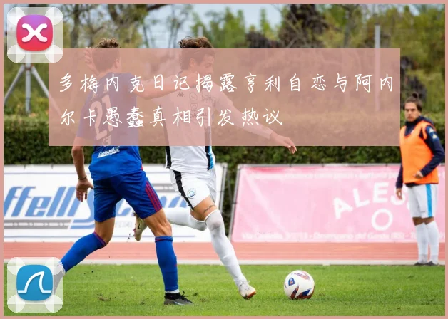 多梅内克日记揭露亨利自恋与阿内尔卡愚蠢真相引发热议